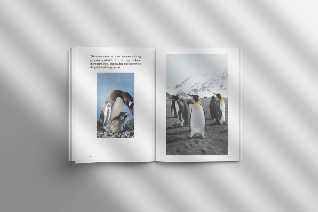 All things penguins open book