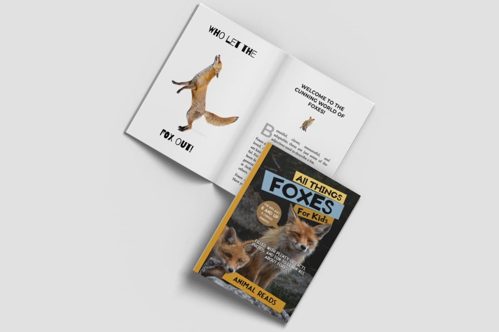 All things foxes for kids book open and closed