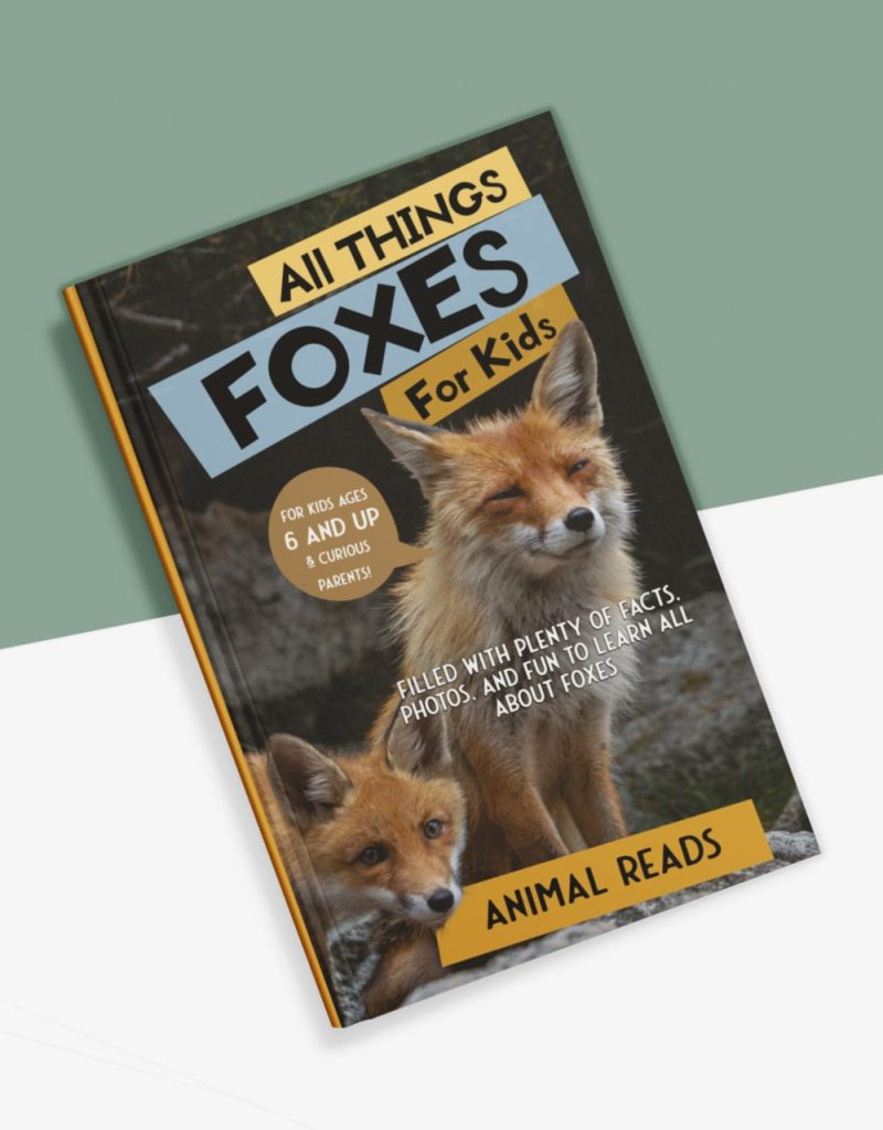 All things foxes for kids book cover bottom