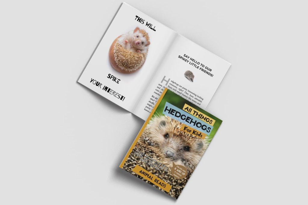 all things hedgehogs for kids book open and closed