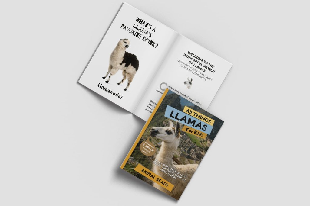 all things llamas for kids book open and closed