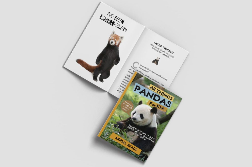 all things pandas for kids book open and closed