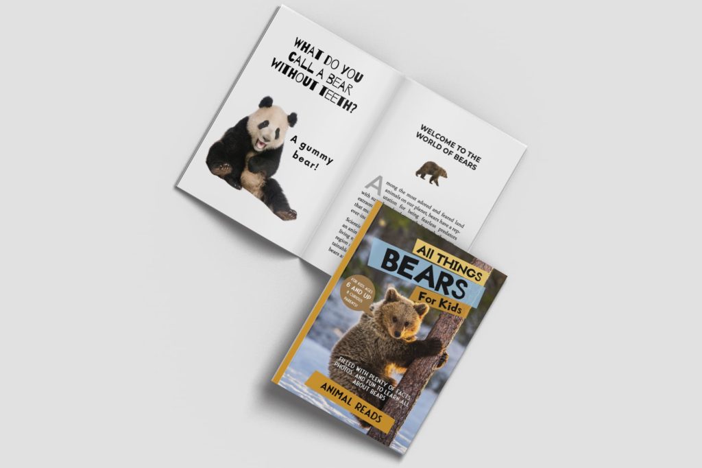 All things bears for kids book open and closed