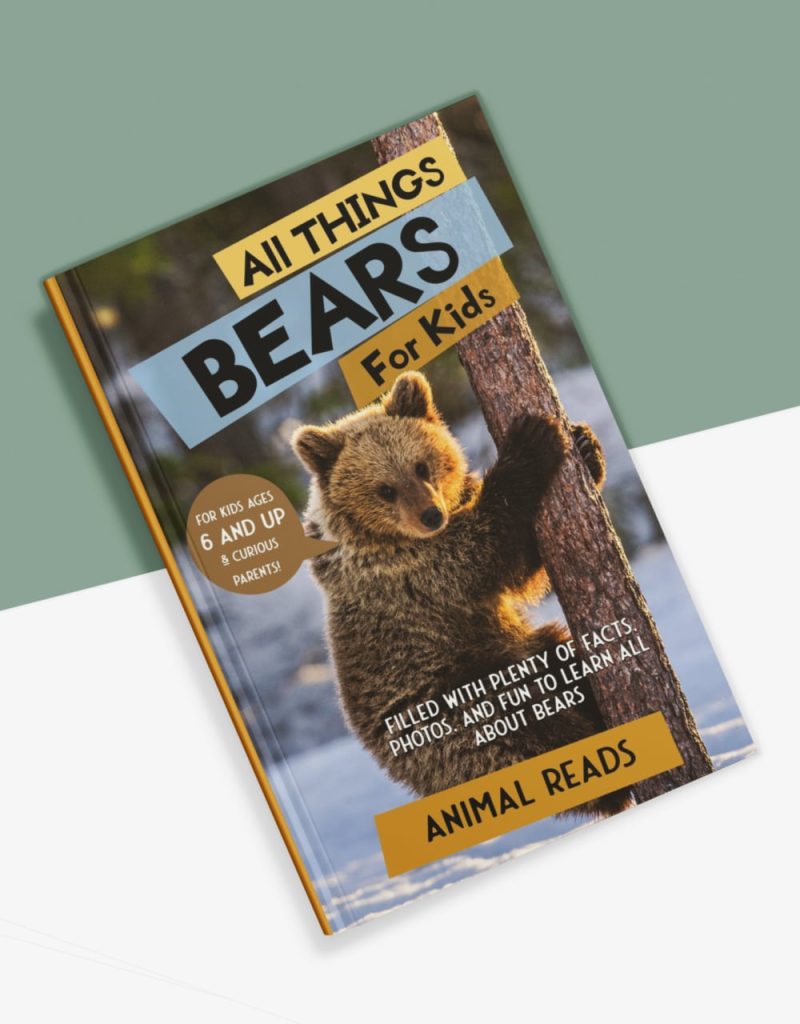 All things bears for kids book cover bottom