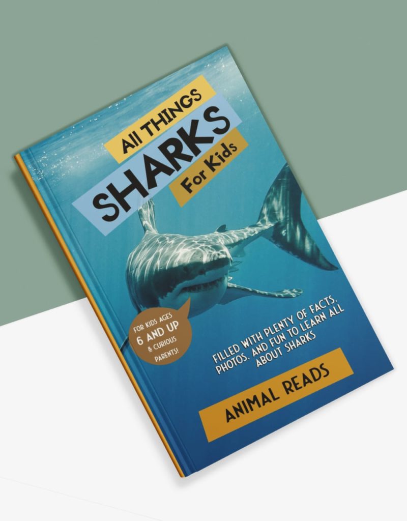 all things sharks for kids book cover bottom