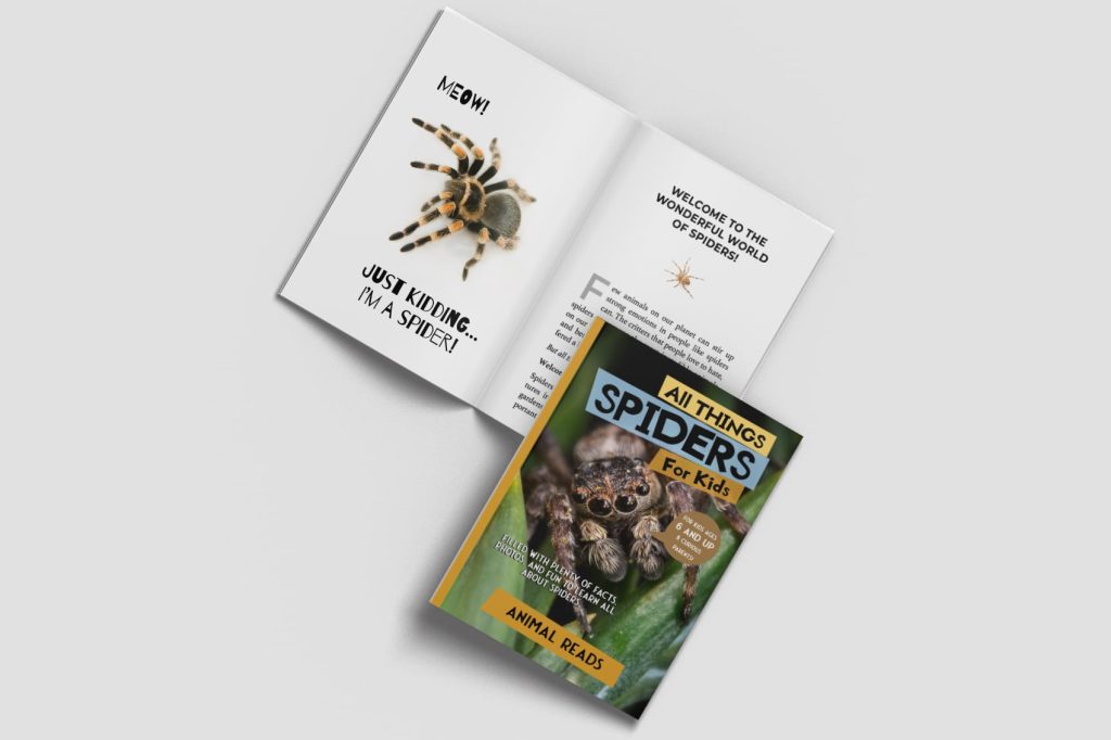 all things spiders for kids book open and closed