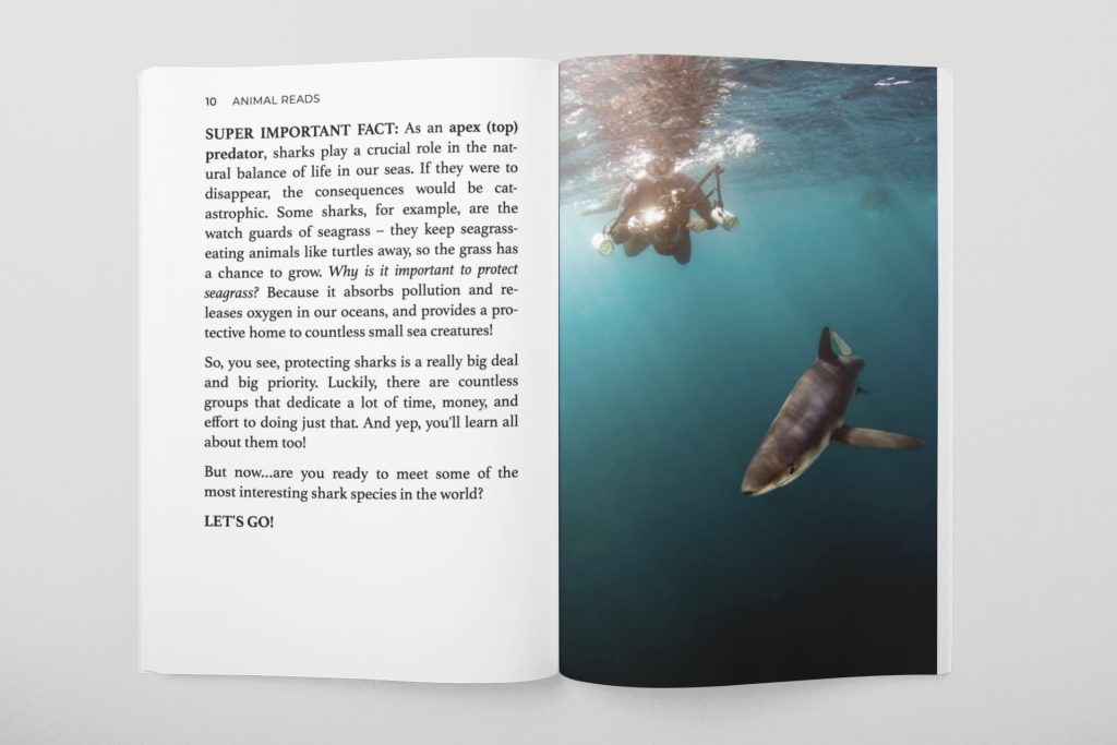 all things sharks for kids book open