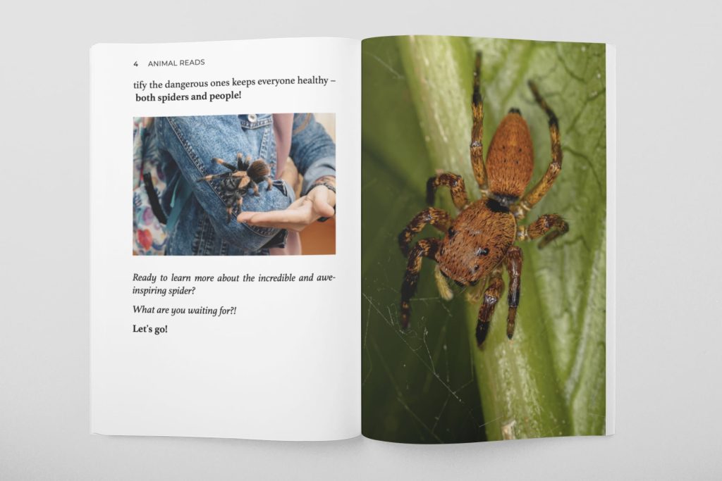 all things spiders for kids book open